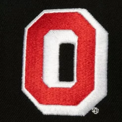 Retro Sport Snapback Ohio State