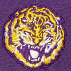 Retro Sport Snapback Vntg University Of Alabama