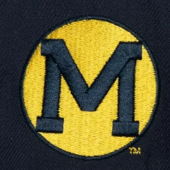 Retro Sport Snapback Vntg University Of Alabama