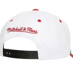 Retrodome Pro Snapback Chicago Bulls
