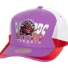 Retrodome Pro Snapback Hwc Toronto Raptors
