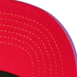 Retrodome Pro Snapback Hwc Toronto Raptors