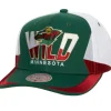 Retrodome Pro Snapback Minnesota Wild