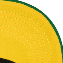 Retrodome Pro Snapback Vntg Minnesota North Stars