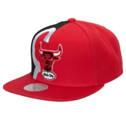 Retroline Snapback Hwc Chicago Bulls