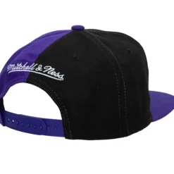 Retroline Snapback Hwc Toronto Raptors