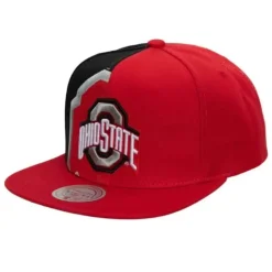 Retroline Snapback Ohio State