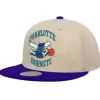 Sail 2 Tone Snapback Hwc Charlotte Hornets
