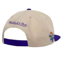 Sail 2 Tone Snapback Hwc Charlotte Hornets