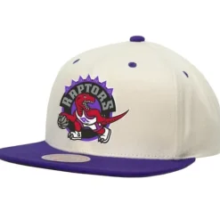 Sail 2 Tone Snapback Hwc Toronto Raptors