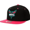 Santa Ana 2-Tone Snapback Charlotte Hornets