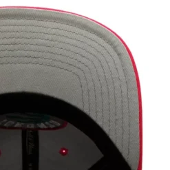 Santa Ana 2-Tone Snapback Toronto Raptors