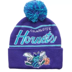 Script Pom Beanie Hwc Charlotte Hornets
