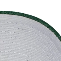 Secondary Roses Pro Snapback Hwc Milwaukee Bucks