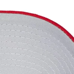 Secondary Roses Pro Snapback Chicago Bulls