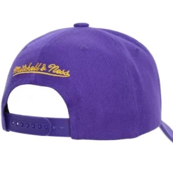Secondary Roses Pro Snapback Los Angeles Lakers