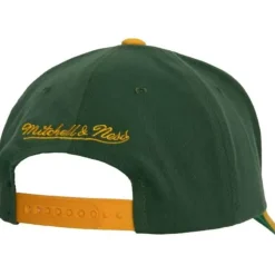 Shredder Stretch Snapback Green Bay Packers