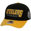 Shredder Stretch Snapback Pittsburgh Steelers