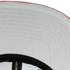 Side Core 2.0 Snapback Chicago Bulls