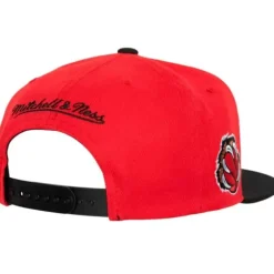 Side Core 2.0 Snapback Hwc Vancouver Grizzlies