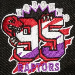 Side Jam Snapback Hwc Toronto Raptors