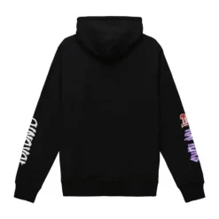 Slap Sticker Hoodie Toronto Raptors