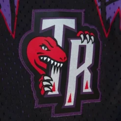 Slap Sticker Swingman Toronto Raptors 1998-99 Shorts