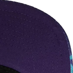 Snapshot Snapback Charlotte Hornets