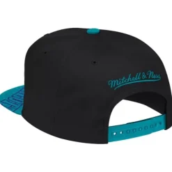 Snapshot Snapback Hwc Charlotte Hornets