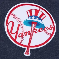 Snow Washed Fleece Hoodie New York Yankees