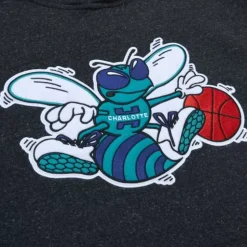Snow Washed Fleece Hoodie Charlotte Hornets