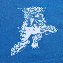 Snow Washed Fleece Hoodie University Of Kentucky