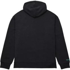 Snow Washed Fleece Hoodie Vintage Logo Vancouver Grizzlies