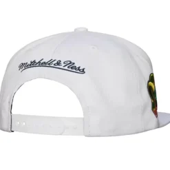 So Fresh Snapback Hwc Seattle Supersonics