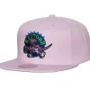 So Fresh Snapback Hwc Toronto Raptors
