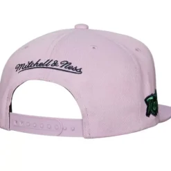 So Fresh Snapback Hwc Toronto Raptors