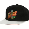 Ssbsts Snapback Hwc Seattle Supersonics