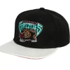 Ssbsts Snapback Hwc Vancouver Grizzlies