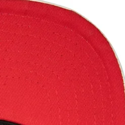 Ssbsts Snapback Hwc Vancouver Grizzlies