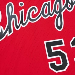 Swingman Artis Gilmore Chicago Bulls 1977-78 Jersey