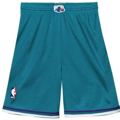 Swingman Charlotte Hornets Road Shorts