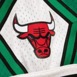 Swingman Chicago Bulls 2008-09 Shorts