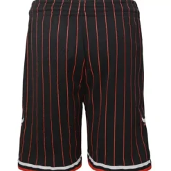 Swingman Chicago Bulls Alternate 1996-97 Shorts