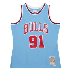 Swingman Dennis Rodman Chicago Bulls Sky Blue Jersey