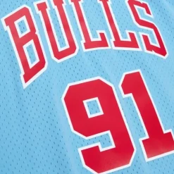 Swingman Dennis Rodman Chicago Bulls Sky Blue Jersey