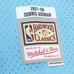 Swingman Dennis Rodman Chicago Bulls Sky Blue Jersey