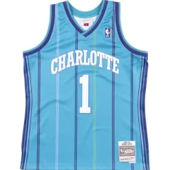 Swingman Jersey Charlotte Hornets Road 1999-00 Baron Davis