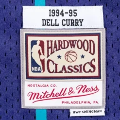 Swingman Jersey Charlotte Hornets Alternate 1994-95 Dell Curry