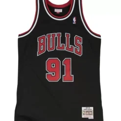 Swingman Jersey Chicago Bulls Alternate 1997-98 Dennis Rodman
