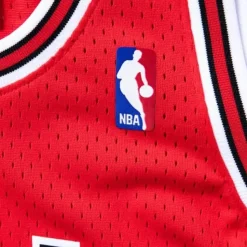 Swingman Jersey Chicago Bulls 1990-91 Bj Armstrong